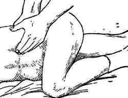 пальпация почки на боку - рисунок