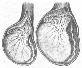 маленькое яичко - рисунок