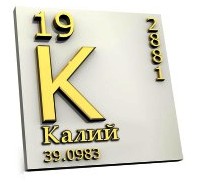 калий крови