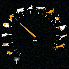 быстро кончаю