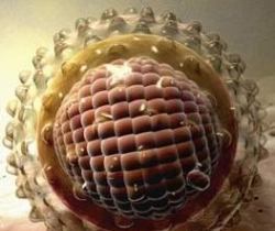 вирус гепатита В - фото